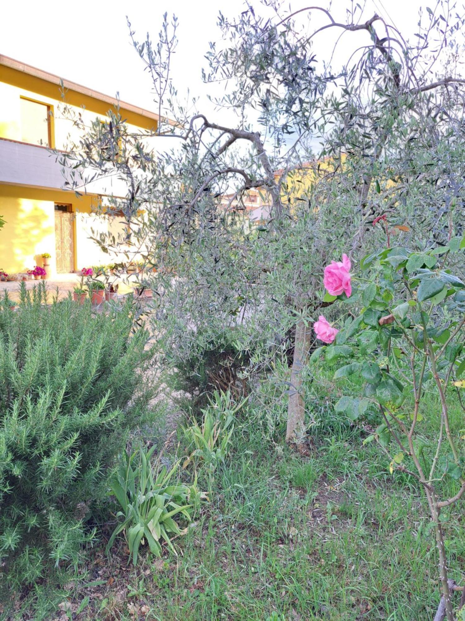 Casa Gli Ulivi Villa Montepulciano Stazione Exterior foto